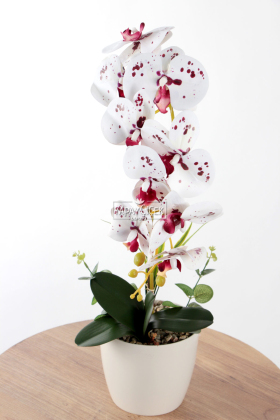Saksıda Yapay Baskılı Islak Orkide 55 cm Bordo Benekli - 2