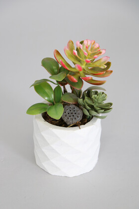 Mini Beton Saksıda Lotuslu Succulent Kırmızılı Model - Yapay Çiçek Deposu