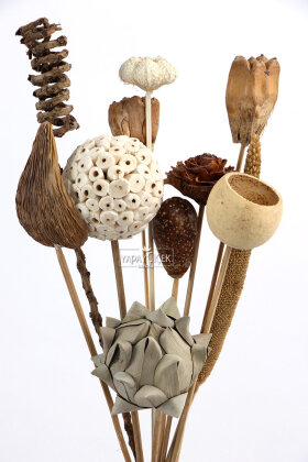 Naturel Tropik Asorti Kuru Çiçek Karnavalı 10 Dallı 45 cm - 4