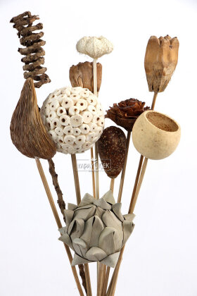 Naturel Tropik Asorti Kuru Çiçek Karnavalı 10 Dallı 45 cm - 4