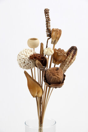 Naturel Tropik Asorti Kuru Çiçek Karnavalı 10 Dallı 45 cm - 4