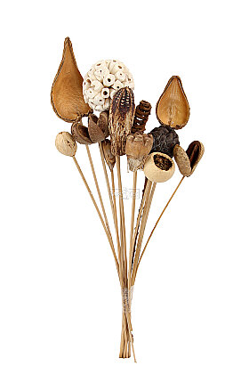 Naturel Tropik Asorti Kuru Çiçek Karnavalı 10 Dallı 45 cm - 3