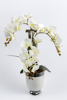 Metal Beyaz-Gümüş Saksıda 3'lü Orkide 65 cm Beyaz - 2