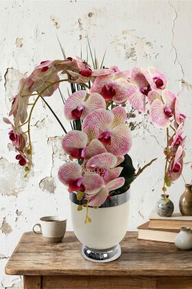 Metal Beyaz-Gümüş Saksıda Lüx 3'lü Orkide 50 cm Krem-Fuşya - Yapay Çiçek Deposu