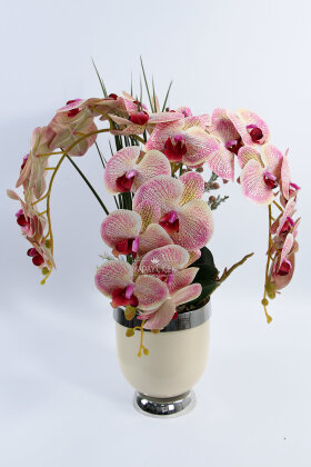 Metal Beyaz-Gümüş Saksıda Lüx 3'lü Orkide 50 cm Krem-Fuşya - 2