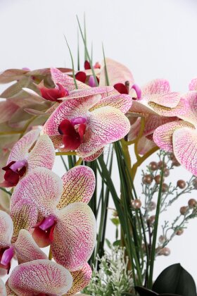 Metal Beyaz-Gümüş Saksıda Lüx 3'lü Orkide 50 cm Krem-Fuşya - 3