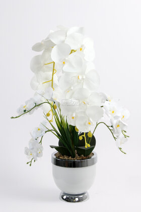 Metal Beyaz-Gümüş Saksıda Lüx 6lı Orkide Beyaz - 2