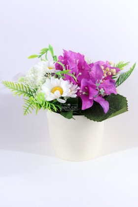 Beyaz Saksıda İlkbahar Masalı Tanzim 20 cm - 2