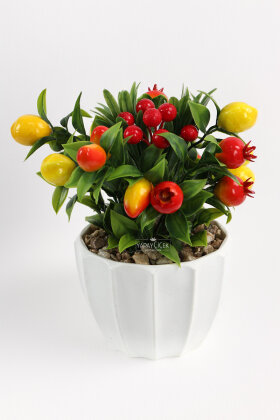 Beyaz Saksıda Minyatür Meyve Bahçesi Tanzimi 20 cm - 2