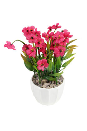Beyaz Saksıda Safir Damarlı Tanzim 26 cm Pembe - 2