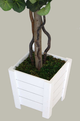 Beyaz Saksıda Yapay Begonya Ağacı 100 cm Yeşil - 2