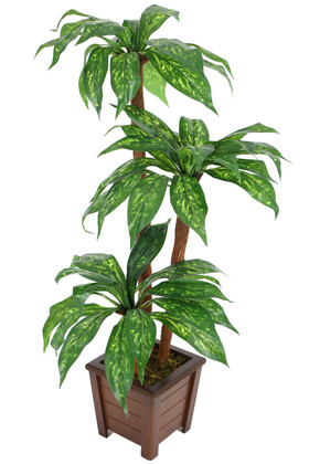 Bodur Yapay Ağaç Cordyline 105 cm Model 1 - 1
