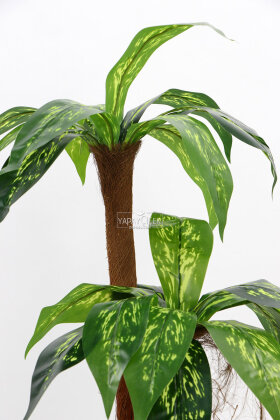 Bodur Yapay Ağaç Cordyline 95 cm Model 1 - 5