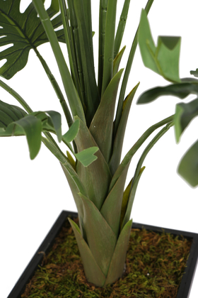 Bölünmüş Yapraklı Yapay İsviçre Deve Tabanı Ağacı ( Monstera Deliciosa) - 5