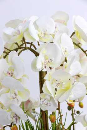 Metal Bronz Saksıda Lüx 10lu Orkide Beyaz - 3