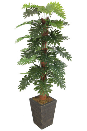 36 Yapraklı Yapay Philodendron Deve Tabanı Ağacı 190 cm (Ahşap Siyah Gold-Saksıda) - 1