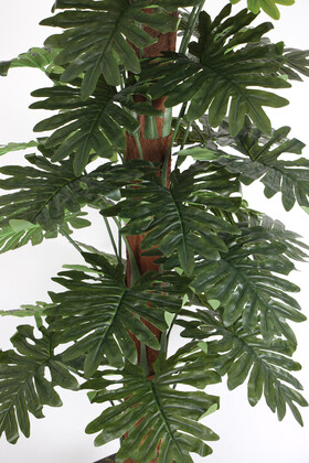 36 Yapraklı Yapay Philodendron Deve Tabanı Ağacı 190 cm (Ahşap Siyah Gold-Saksıda) - 2