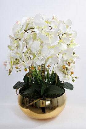 Metal Mat Gold Saksıda Lüx 10lu Orkide Beyaz - 2