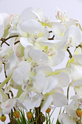 Metal Mat Gold Saksıda Lüx 10lu Orkide Beyaz - 3