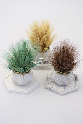 Tepsili Beton Saksıda Kuru Başak Tanzimi 3lü (Set-4) - 1