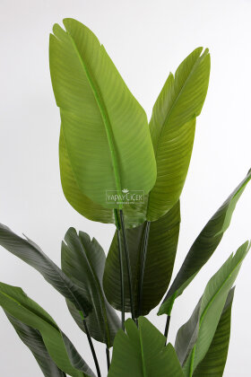 Damla Saksıda Yapay 15 Yapraklı Starliçe Ağacı 195 cm - 4