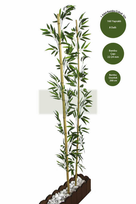Gerçek Bambu Yapay Yeşil Yapraklı 200 cm - 1