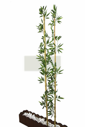 Gerçek Bambu Yapay Yeşil Yapraklı 200 cm - 2