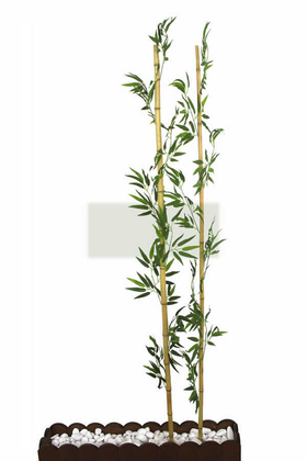 Gerçek Bambu Yapay Yeşil Yapraklı 200 cm - 3