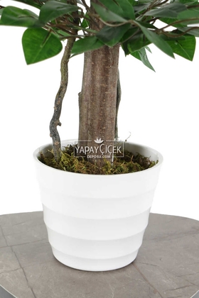 Yapay Benjamin Ağacı 105 cm Melamin Saksılı - 2