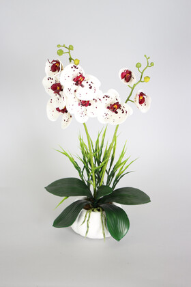 Dekoratif 2li Mini Yapay Islak Orkide Tanzimi 50 cm Beyaz Benekli - 1