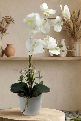Dekoratif 2li Nismo Yapay Islak Orkide Tanzimi Beyaz 70 cm - Yapay Çiçek Deposu