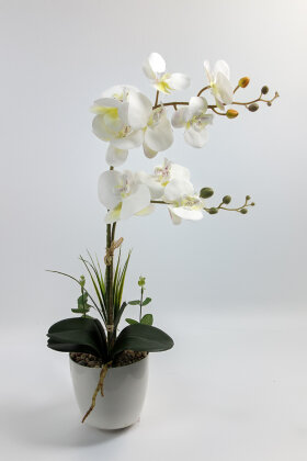 Dekoratif 2li Nismo Yapay Islak Orkide Tanzimi Beyaz 70 cm - 2