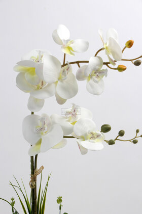 Dekoratif 2li Nismo Yapay Islak Orkide Tanzimi Beyaz 70 cm - 3