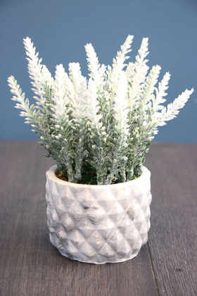 Tırtıklı Beton Saksıda Yapay Lavanta Tanzimi 20 cm Beyaz - 1