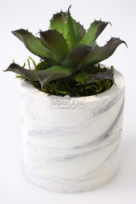 Beton Saksıda Islak Büyük Succulent Echeveria Setosa Siyah - Yeşil - Yapay Çiçek Deposu