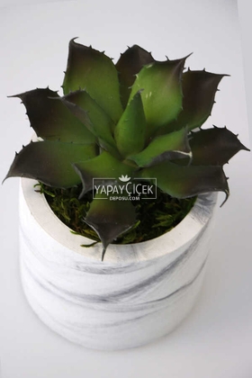 Beton Saksıda Islak Büyük Succulent Echeveria Setosa Siyah - Yeşil - 3