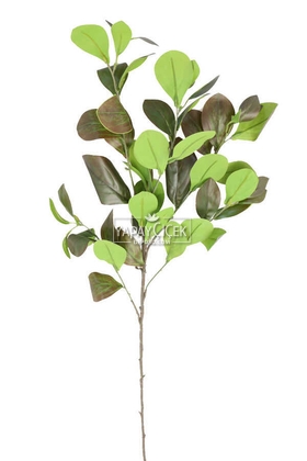 Dekoratif Kaliteli Büyük Bitki Dalı 85 cm Yeşil-Kahve - 2