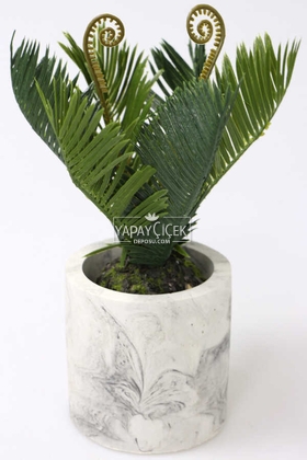 Beton Saksıda Ananas Bitkisi 25 cm - 1