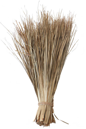 Tropic Strip Grass Şerit Kurutulmuş Çimen Demeti 40cm Naturel - Yapay Çiçek Deposu