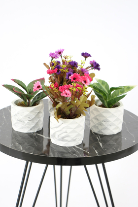 Beton Saksıda Yapay Bitki ve Papatya 4lü Set Model 5 - 2