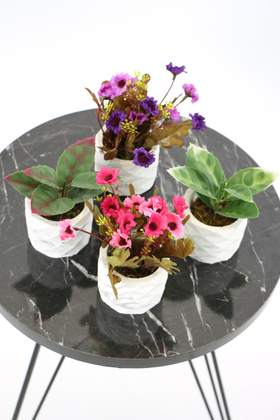 Beton Saksıda Yapay Bitki ve Papatya 4lü Set Model 5 - 3