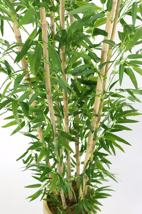 Metal Galvaniz Saksıda Yapay Bambu Ağacı 7 Gövde 180 cm (Beyaz-Gold) - 3