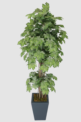 Yapay Ağaç Çınar Yapraklı Akçaağaç 170 cm Gri Yeşil - 1