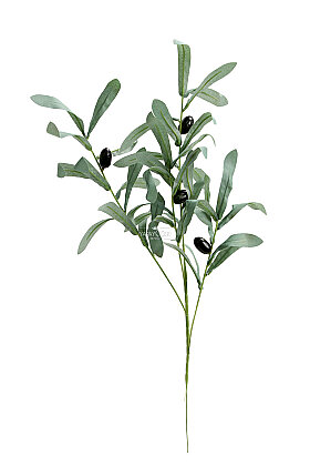 Dekoratif Yapay Bodur Zeytin Dalı 60 cm Tozlu Yeşil - 3