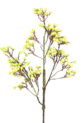 Dekoratif Yapay Kaliteli Uzun Dal Kokina 70 cm Açık Yeşil - 1