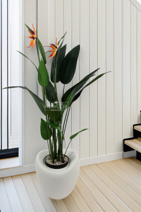 Yapay Ağaç Dinazor Yumurtası Saksıda Çiçekli King Starliçe Ağacı 160 cm Andezit - Yapay Çiçek Deposu