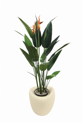 Yapay Ağaç Dinazor Yumurtası Saksıda Çiçekli King Starliçe Ağacı 160 cm Andezit - 2