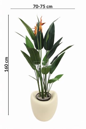 Yapay Ağaç Dinazor Yumurtası Saksıda Çiçekli King Starliçe Ağacı 160 cm Andezit - 4