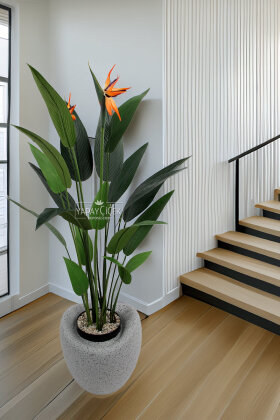 Yapay Ağaç Dinazor Yumurtası Saksıda Çiçekli King Starliçe Ağacı 160 cm Gri - Siyah - Yapay Çiçek Deposu