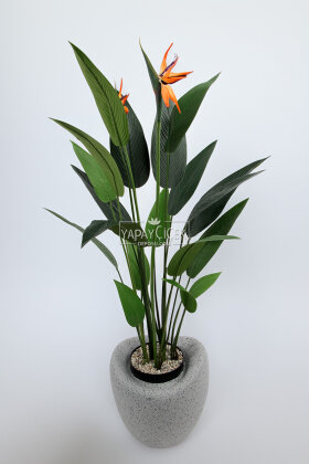 Yapay Ağaç Dinazor Yumurtası Saksıda Çiçekli King Starliçe Ağacı 160 cm Gri - Siyah - 2